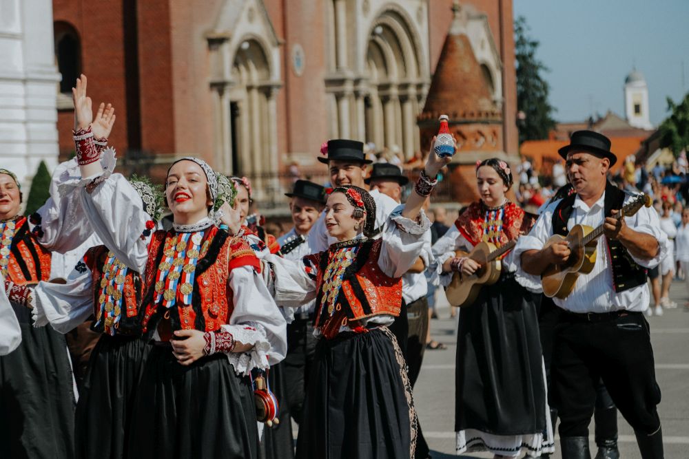vezovi