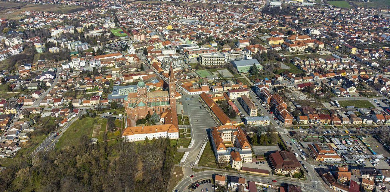 pogled